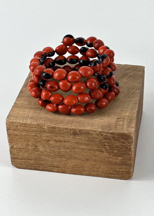 Mullus pulsera